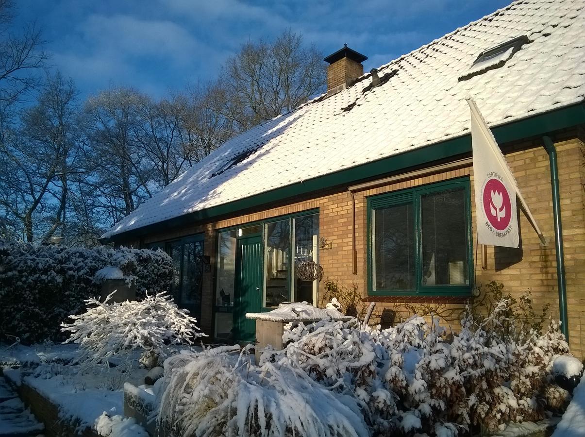 B&B Opdeparkkamp Met Laadpaal Voor Elektrische Auto'S Havelte Exteriör bild